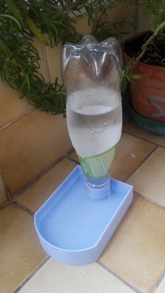 water bowl for cats and dogs
