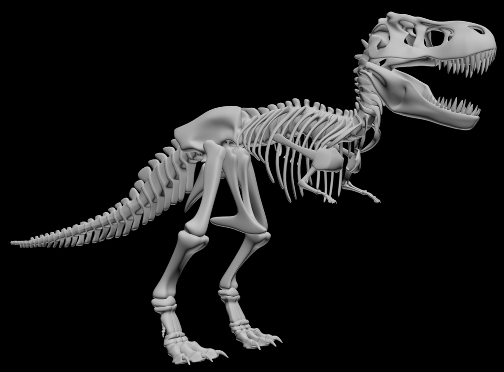 T-Rex Skeleton