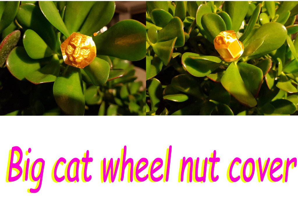 wheel nut cover 17mm Big cat