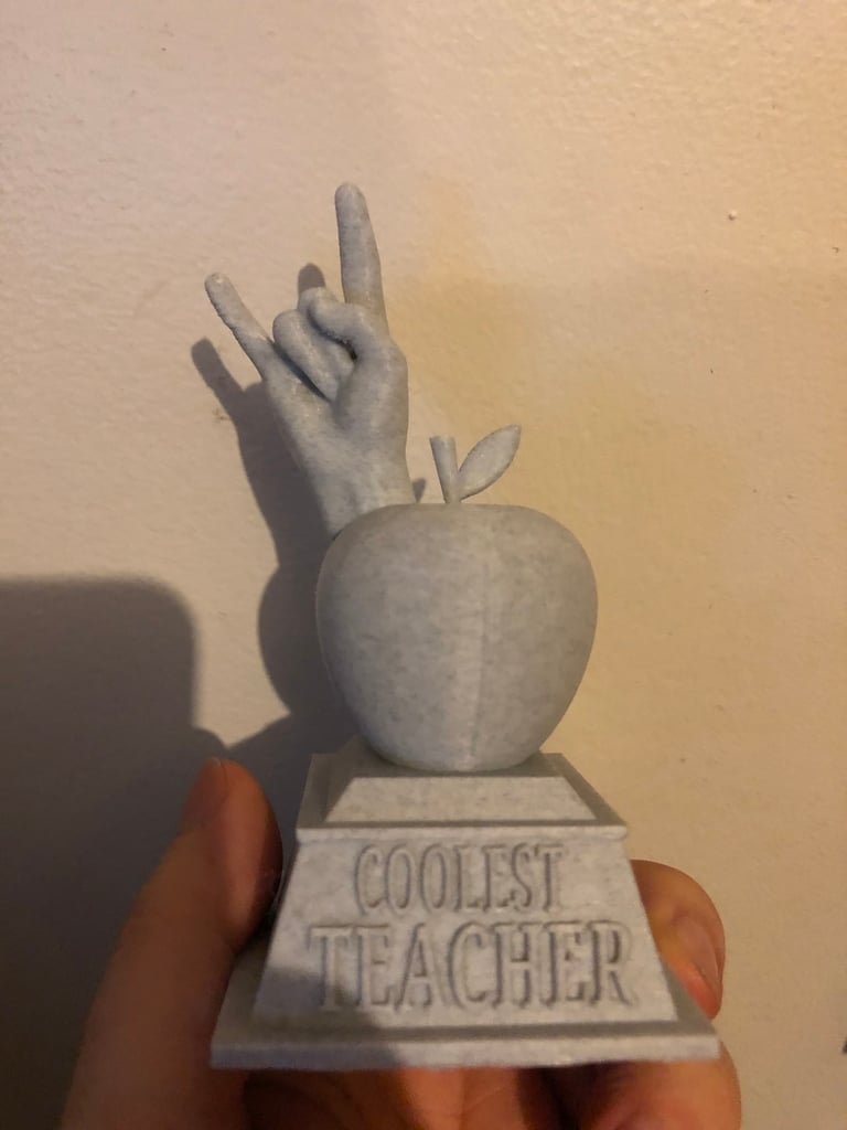 Coolest Teacher Award