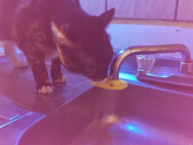 Cat faucet fountain