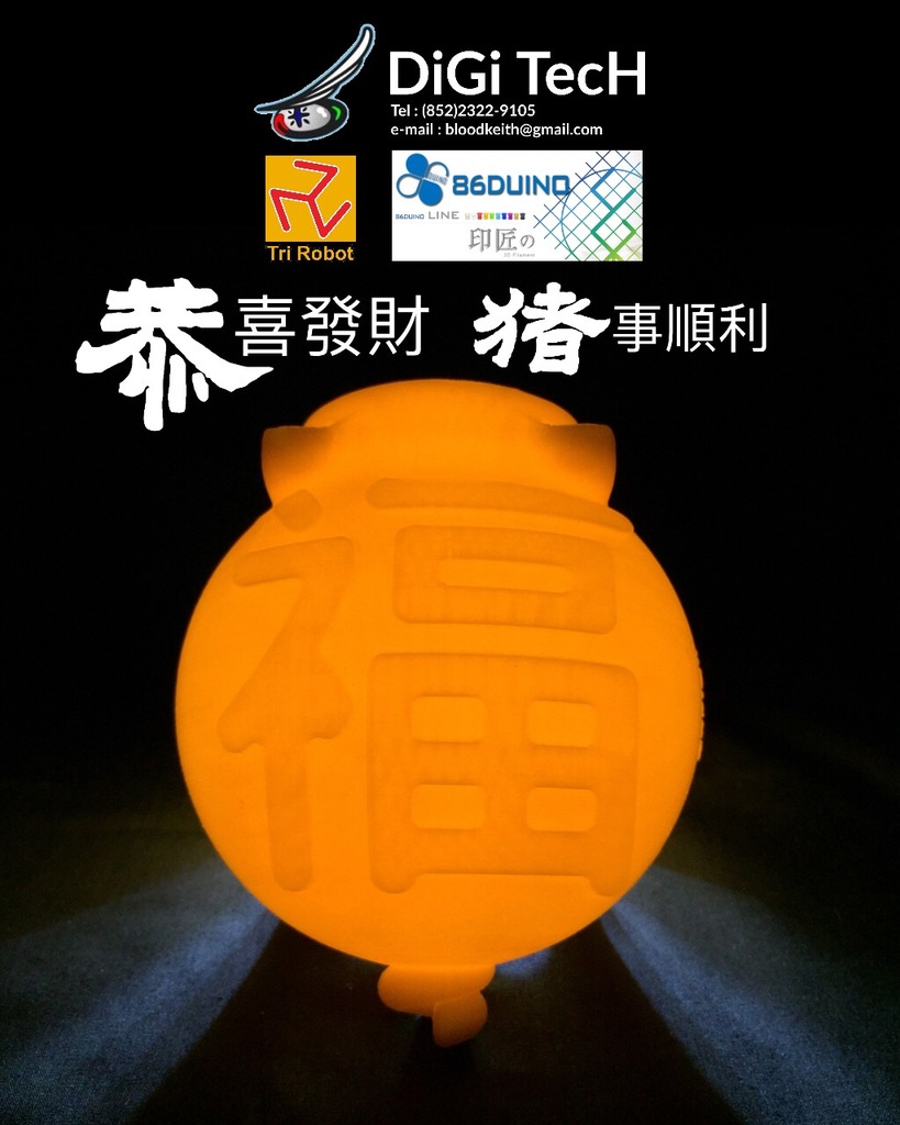 Lunar New Year ( Pig Year ) Money Bank