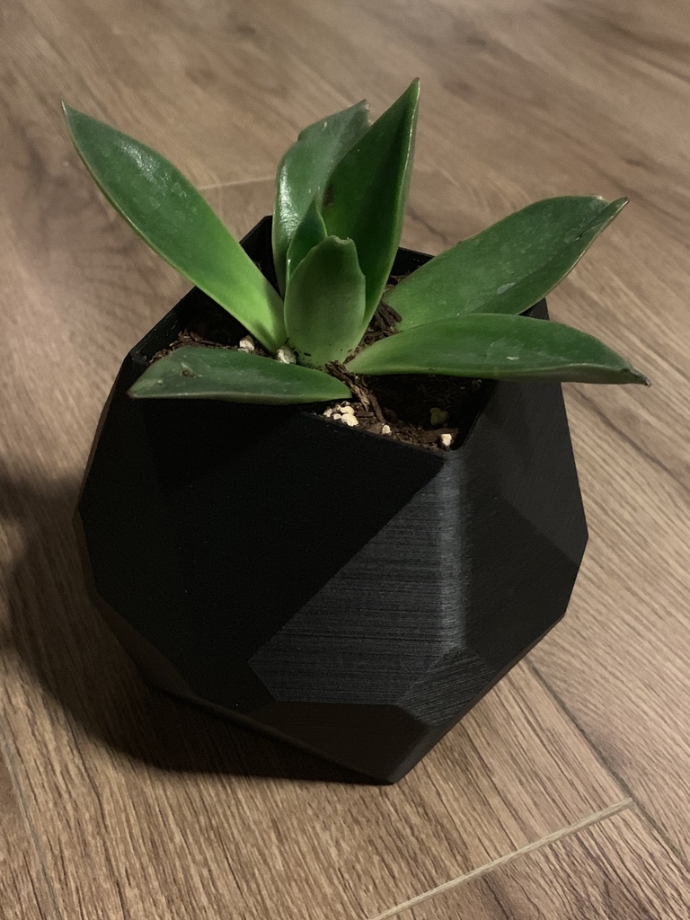 Geometric Plant Pot