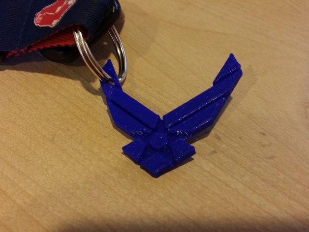 Air Force Logo and Keychain