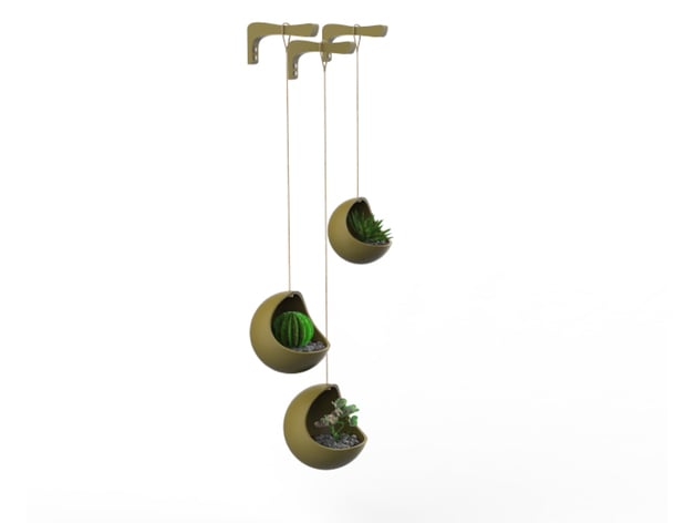 Macetas colgantes (Hanging Pots)