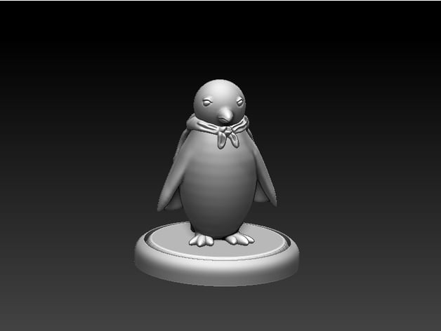 Image of Penguin in a Cape!