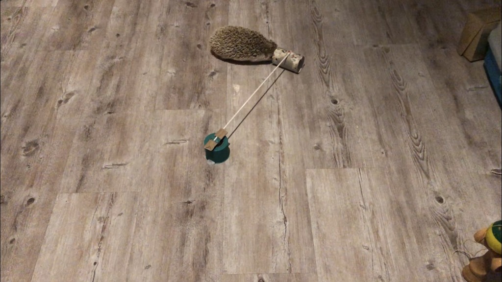 Hedgehog Toy - Inifinite Tubing Device