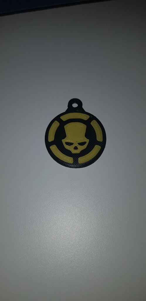 Keychain the division rogue