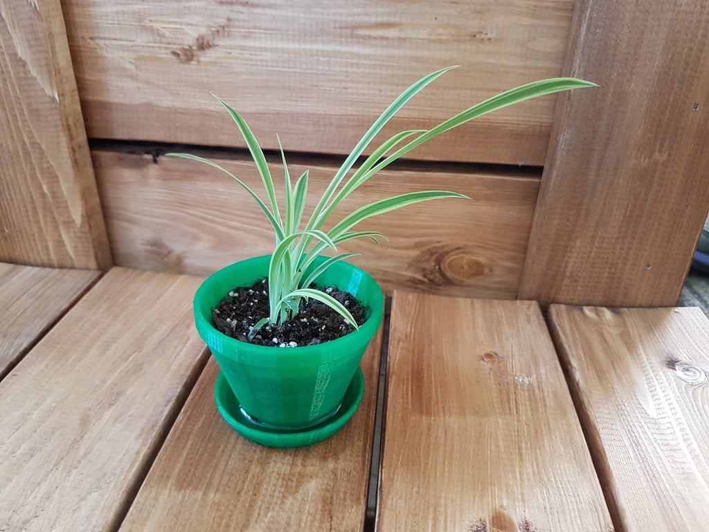 Plant Pot with Drainage