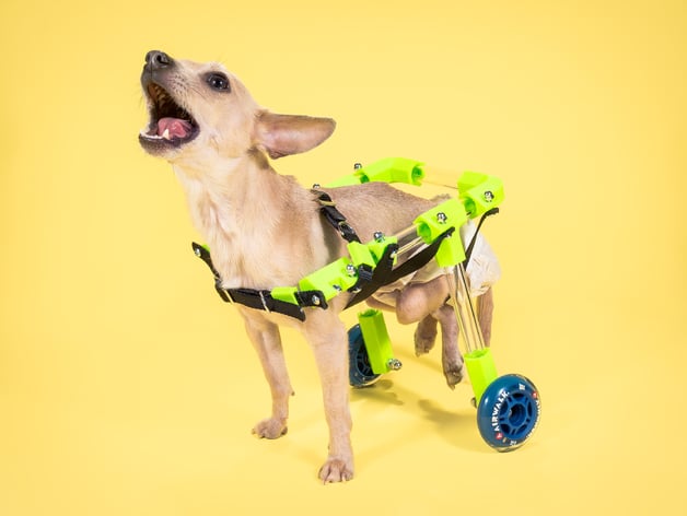 Figo Rear Support Pet Wheelchair