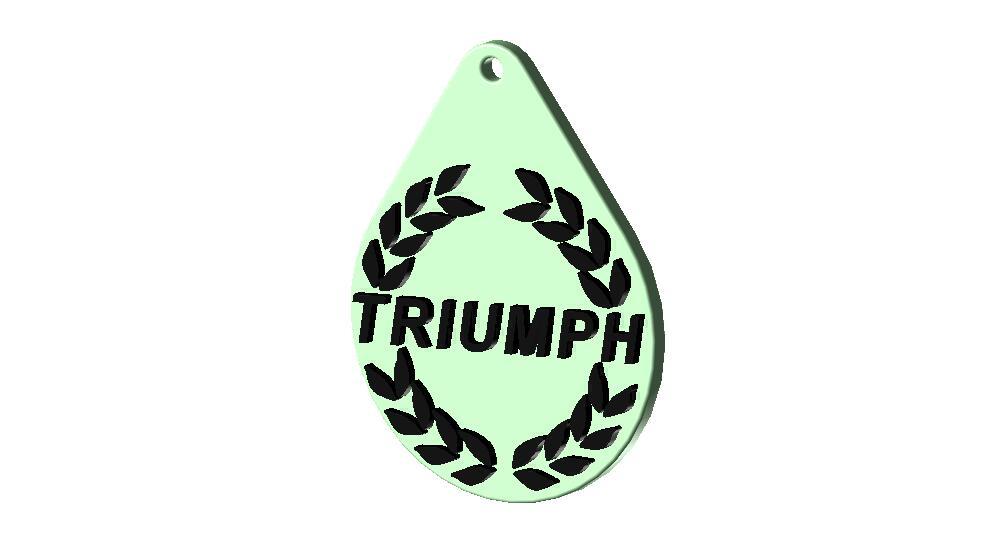 Triumph car logo/keyring