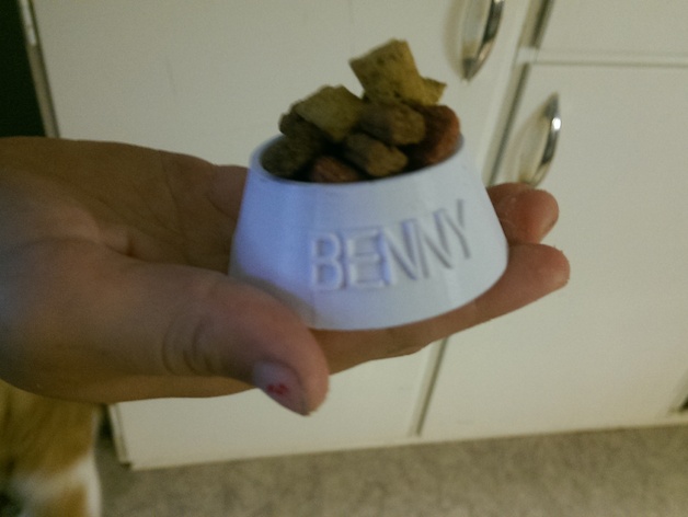 Bennys skål (cat candy bowl with the cat´s name)