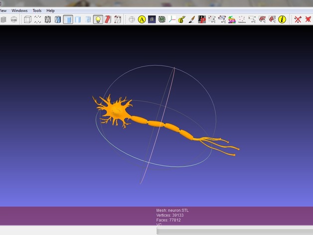 Comments For A Model For A Neuron Cell By Cosimo Ligorio Thingiverse