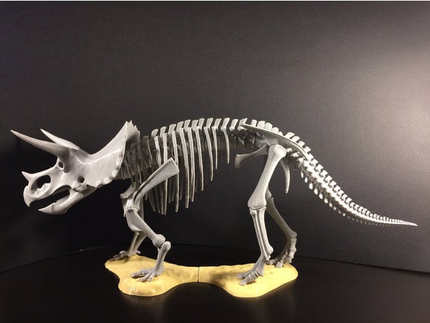 Triceratops Prorsus Skeleton