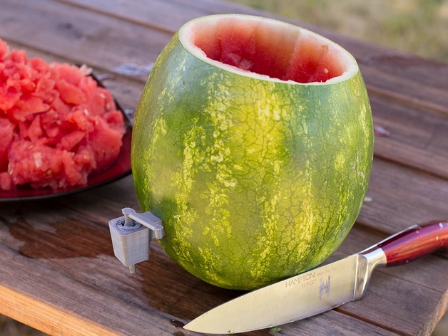 Household Hacker's Watermelon Dispenser