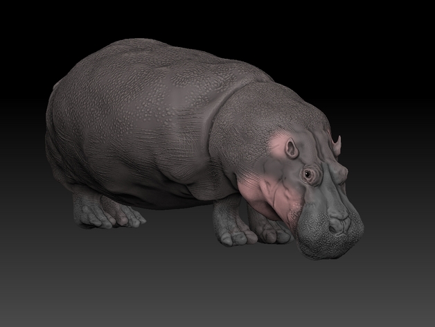 hippopotamus zbrush