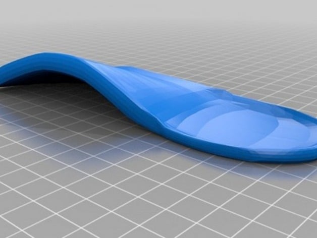 Orthotic Insoles (Customizeable)