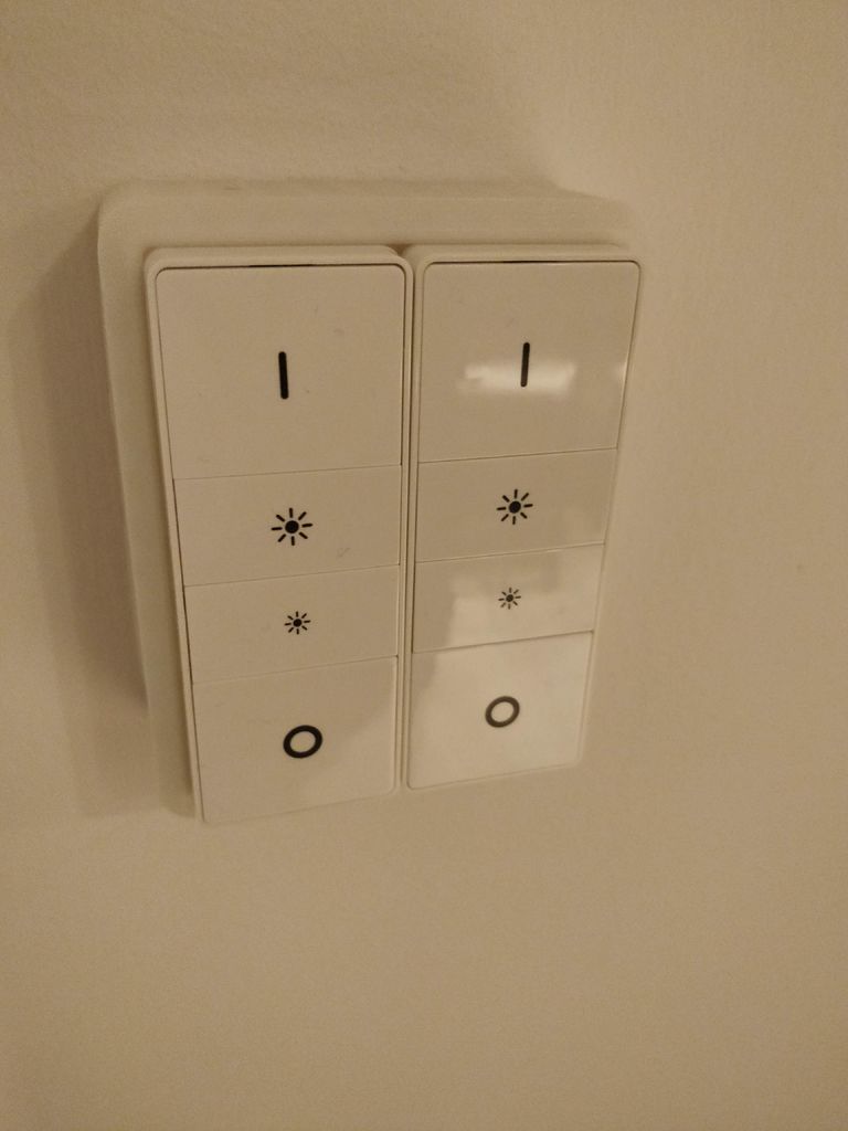 Philips Hue dimmer wall switch cover - Germany