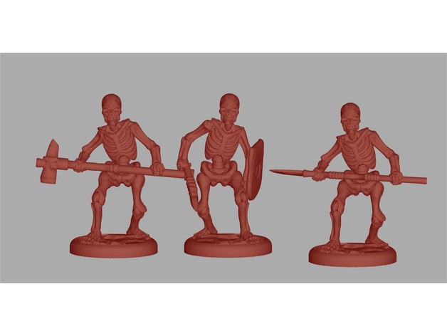 Image of Skeleton / Esqueletos - RPG D&D Miniature