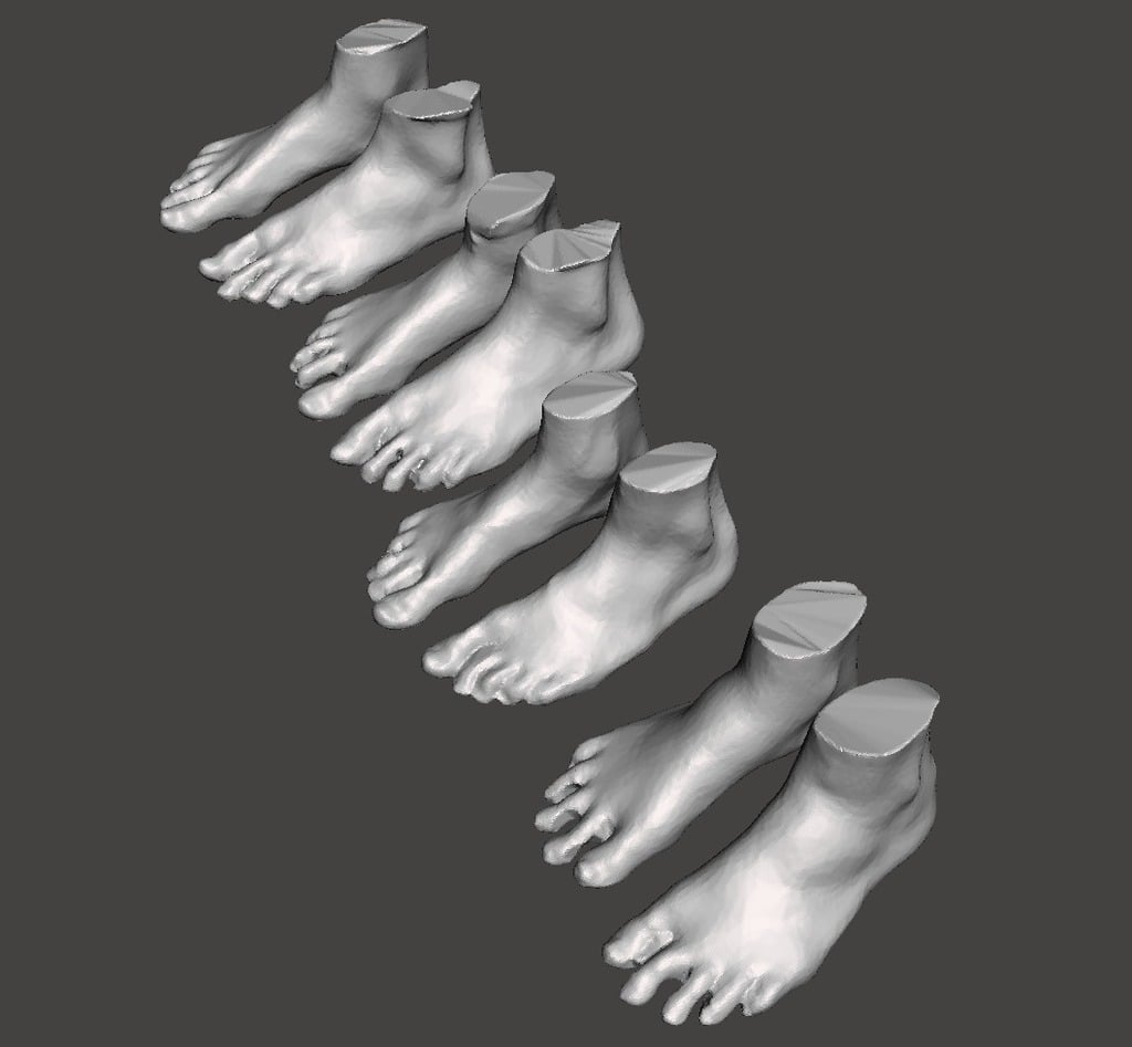 Standard Foot Scans