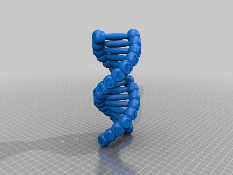 Modello semplice di DNA