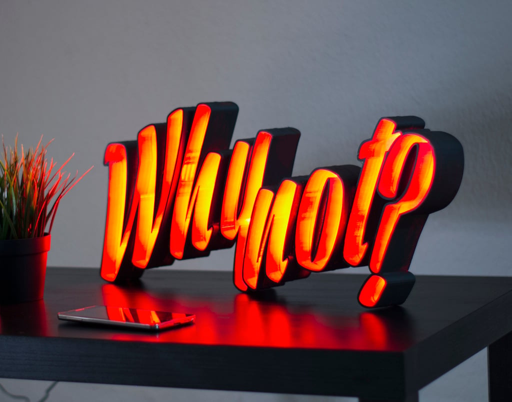LED Light Letters "Why not?"