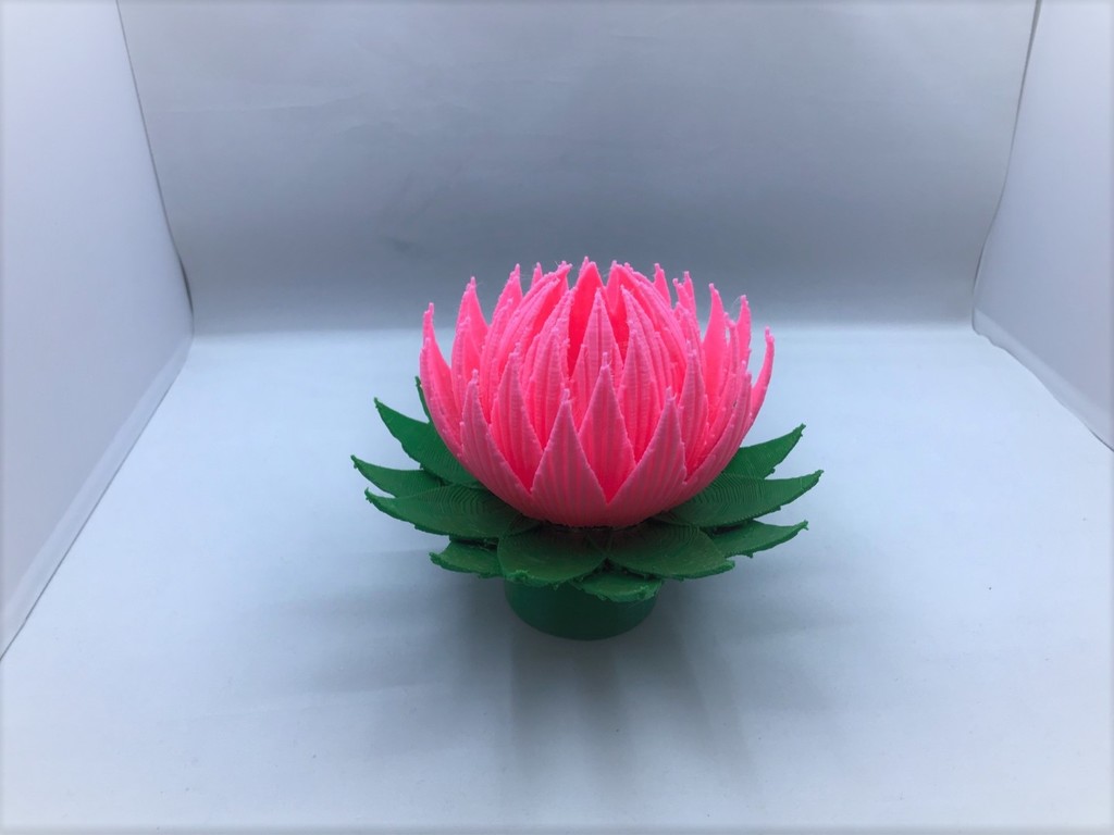 Lotus Blossom Lamp