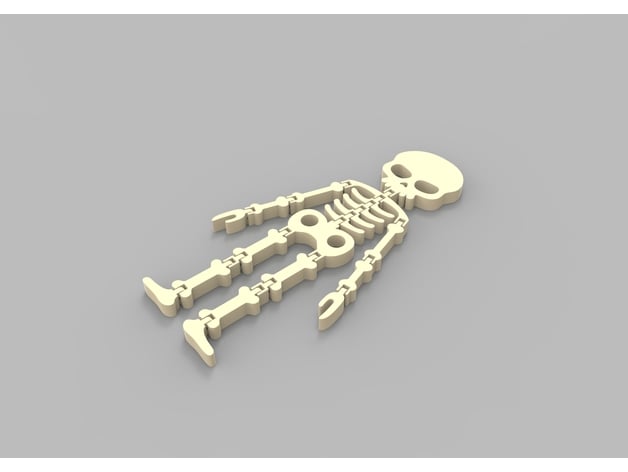 Flexi Skeleton