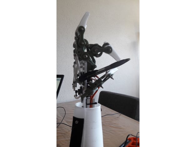 Robotic hand  servo powered