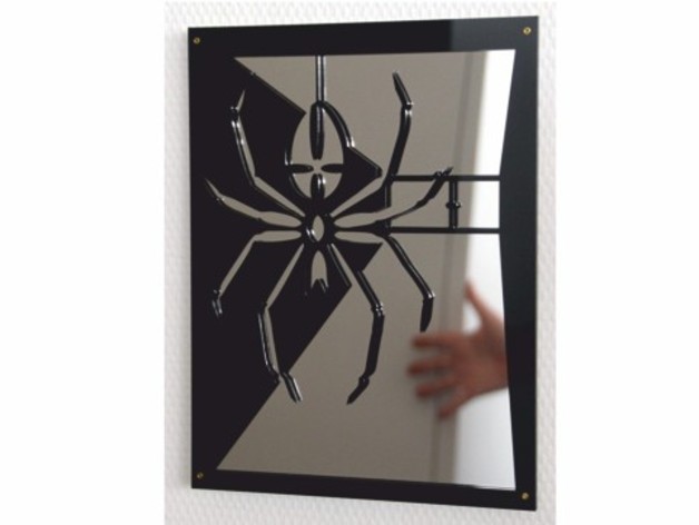 Spidermirror laser cut acrylic picture 12x9"