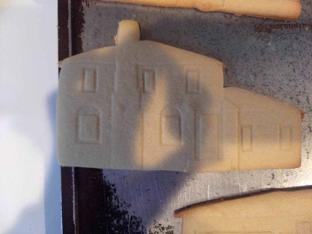 House cookie cutter 5