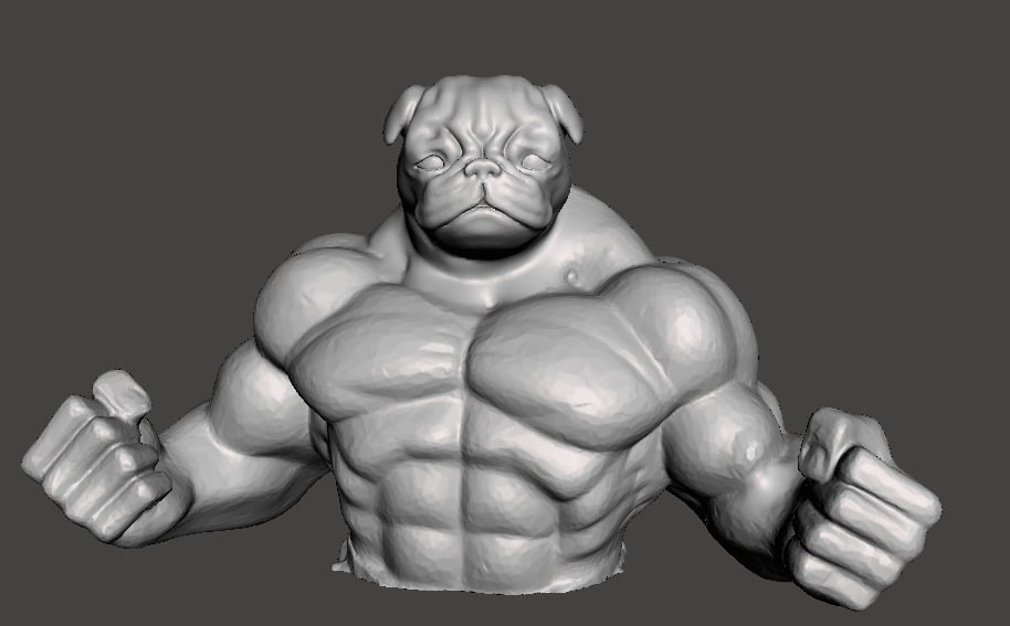 muscle pug
