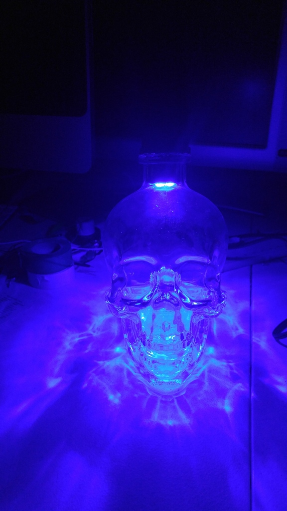 Skull Liquor Bottle LED and 9V Battery Holder