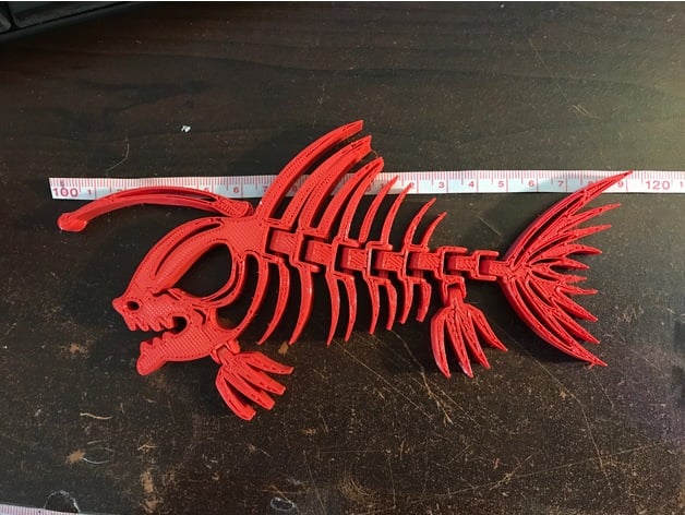 Articulated Piranhaanglerfish Skeleton