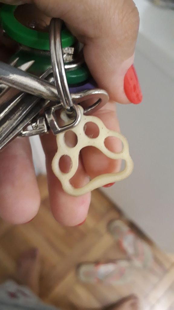 Dog Claw Keychain