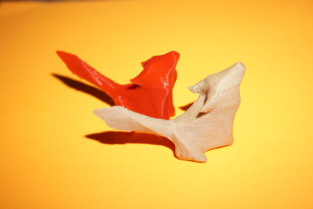origami scanned wolf