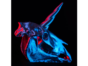 Unicorn Skull 3D model