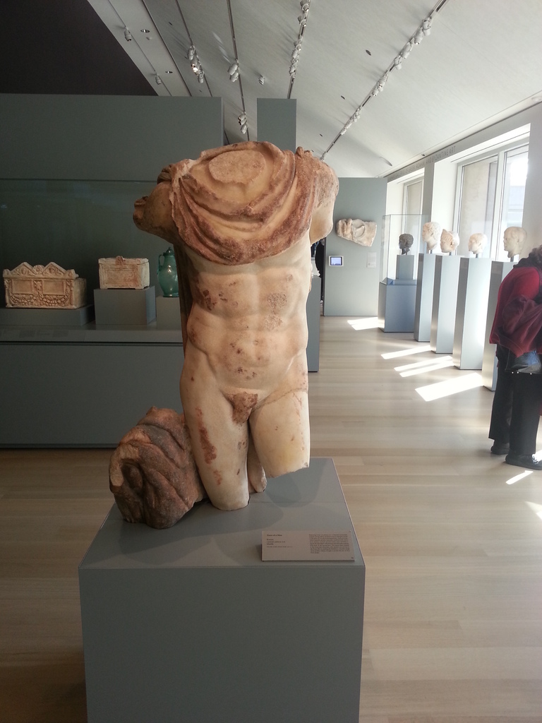 Torso of a Man