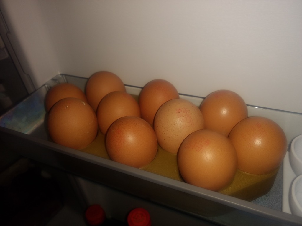Egg tray for 10 eggs