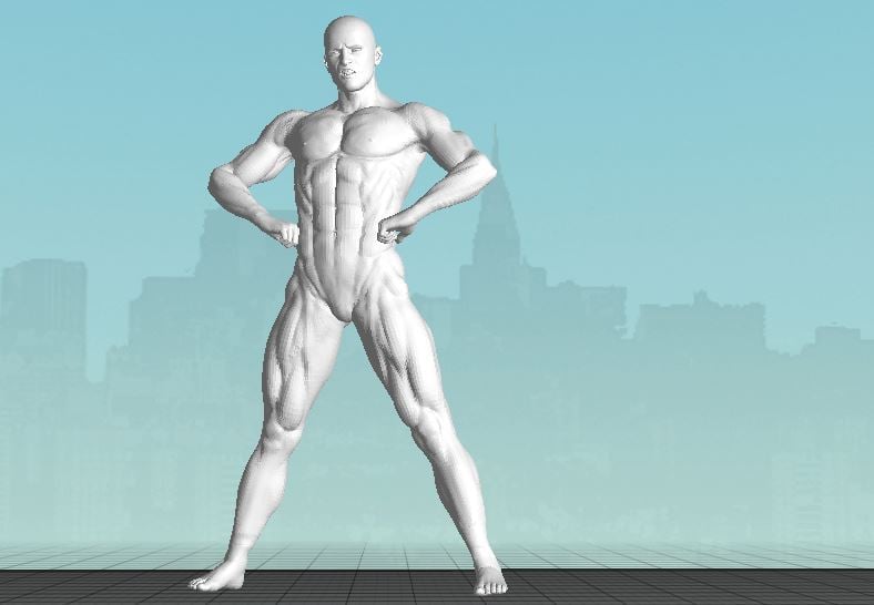 Male Bodybuilder 1 Full body