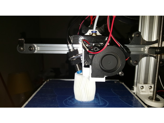 Fan mounts for Reach 3D Printer