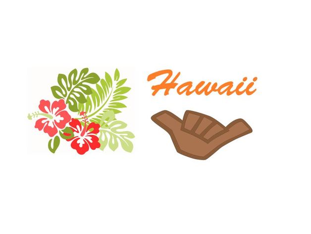 Hawaiian Designs