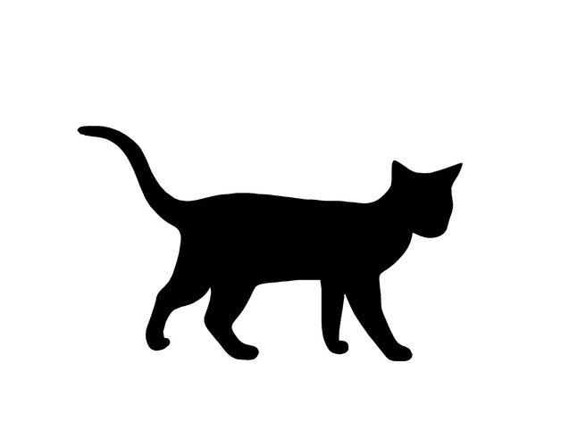 Black Cat 4
