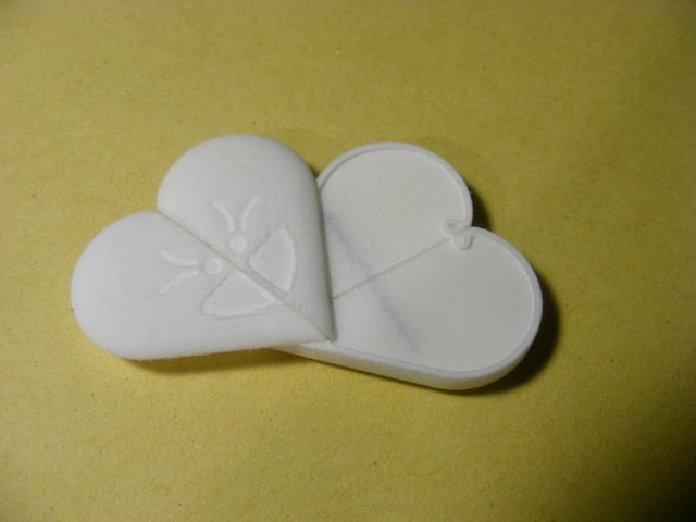 Illusionist Locket