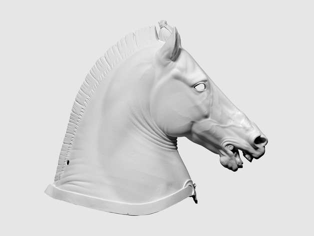3D scan of Horse Head (“Medici Riccardi” horse)