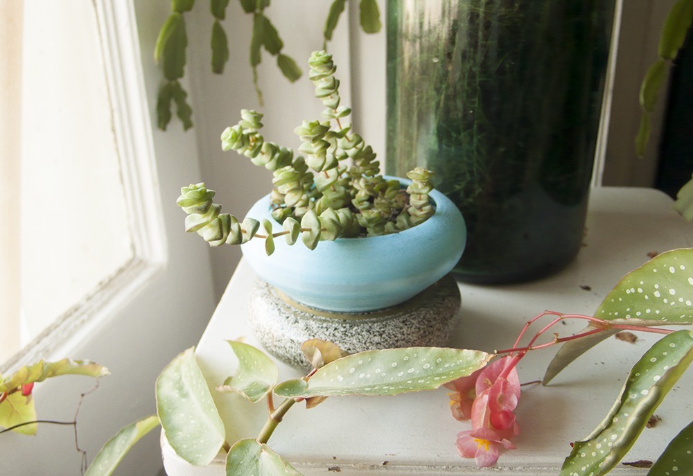 Small flat pot & saucer