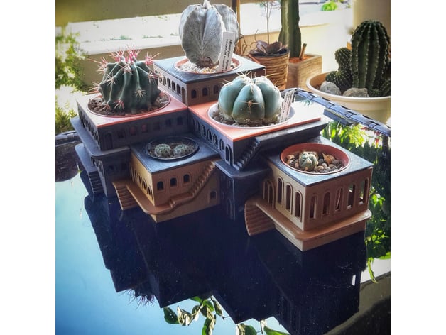 Cactushotel