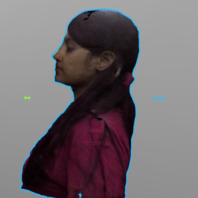 3D Scan of Hansa Mehra