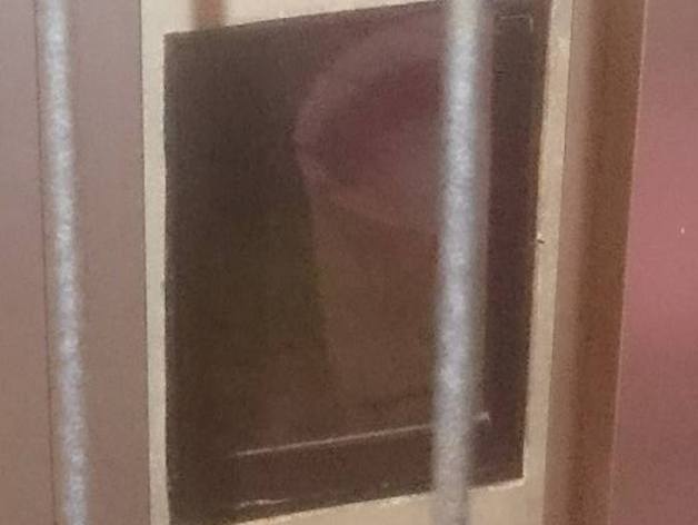 Cat Door Frame