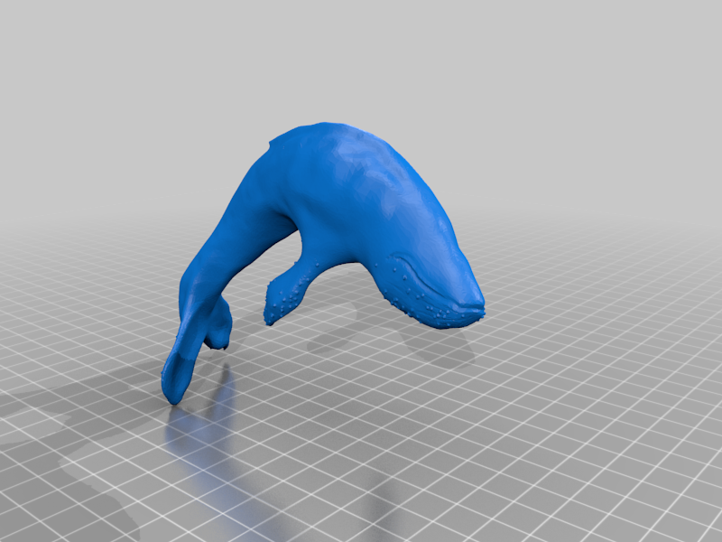 Humpback Whale, attempt #1
